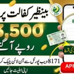 BISP 8171 Web Portal