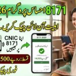8171 Ehsaas Program
