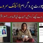 BISP Survey Kesy Karwayien?